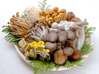 きのこいろいろ