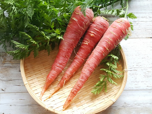 きんときにんじん